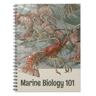 Kudde kreeften in de oceaan, vintage art nouveau notitieboek