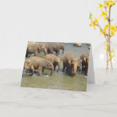 Kudde olifanten Wenskaarten Kaart (Gele Bloem)