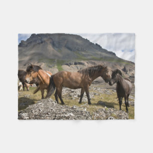 Kudde paarden bij Hofn, IJsland Fleece Deken