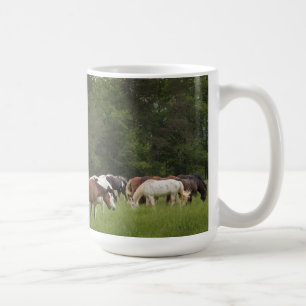 Kudde paarden, Tennessee Koffiemok