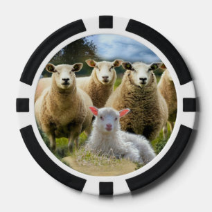 kudde schapen van baby-lammeren poker chips