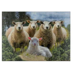 kudde schapen van baby-lammeren snijplank