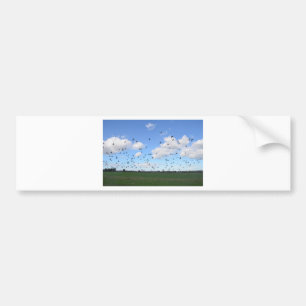 kudde van duiven bumpersticker