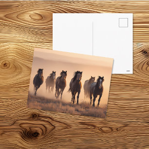 Kudde Wilde Paarden Westers Landschapskunst Briefkaart