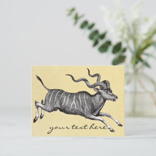  Kudu Briefkaart (Staand voorkant)