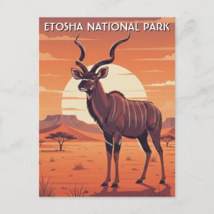 Kudu in Nationaal Park Etosha Namibië Reizen Briefkaart