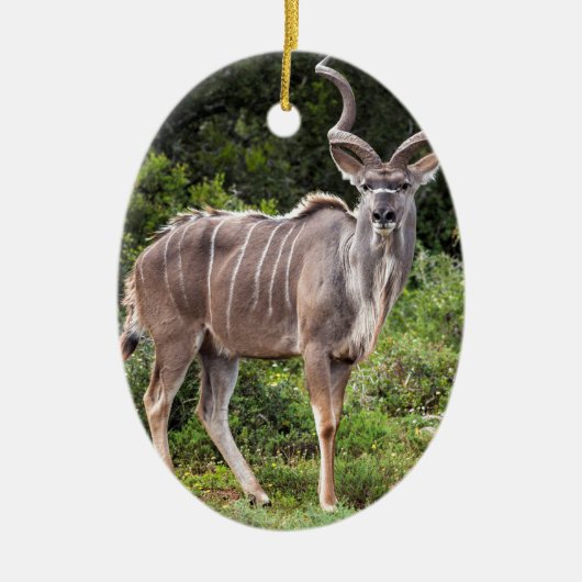 Kudu. Keramisch Ornament (Voorkant)