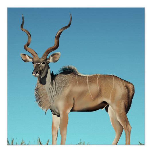 Kudu Perfect Poster (Voorkant)