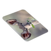 Kudu portret magneet (Rechterzijde)