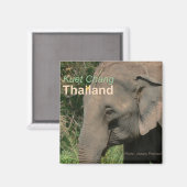 Kuet Chang Thaïlande Aimants frigorifiques éléphan (Recto/Verso)