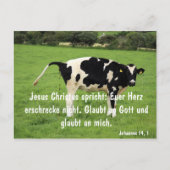 Kuh Briefkaart (Voorkant)