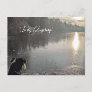 Kuhsee am Morgen mit Hund in Augsburg Briefkaart