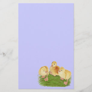 Kuif Buff ganzenjongen Briefpapier
