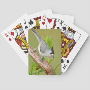 Kuifmees Pokerkaarten