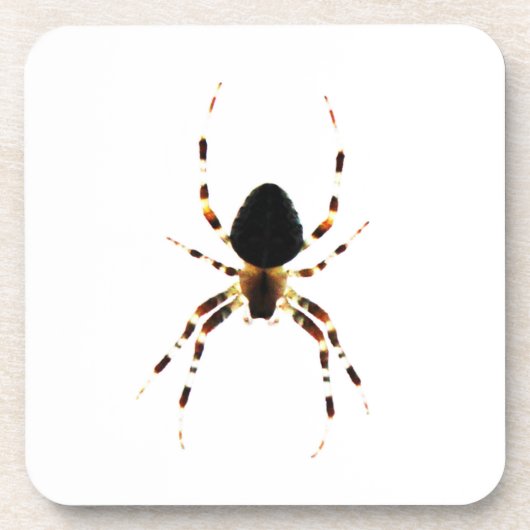 Kuifspider Bier Onderzetter (Voorkant)