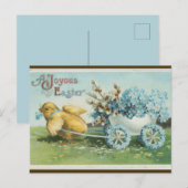 kuiken met bloemenwielen Pasen Briefkaart (Voorkant / Achterkant)