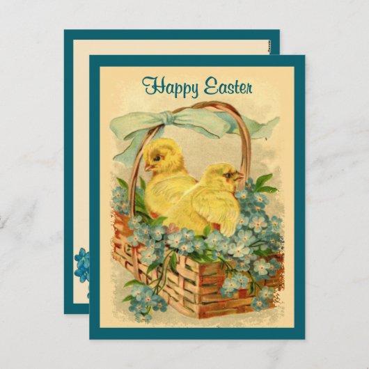 Kuikens in een mandje  Paas Briefkaart (Voorkant / Achterkant)