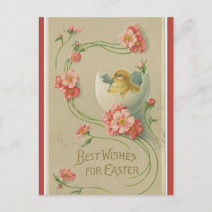  kuikens in eierroze zwenkrooster Pasen Briefkaart