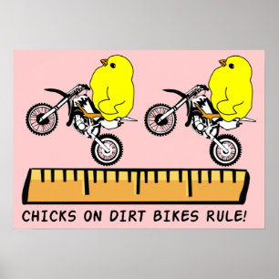 Kuikens Op Dirt Bikes Beheersen Motocross Poster P