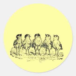 kuikens ronde sticker