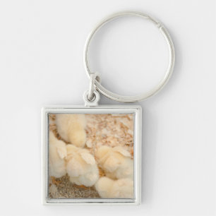 kuikens sleutelhanger
