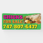 Kuikens te koop Aangepaste Bewerkbare Banner (Horizontaal)