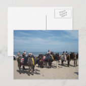 kuilen briefkaart (Voorkant / Achterkant)