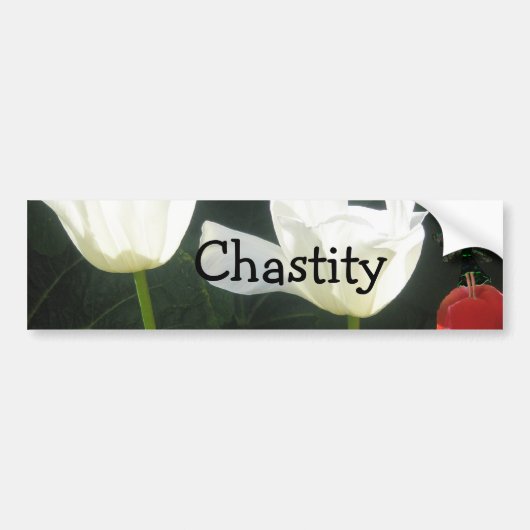 Kuishheid Bumpersticker (Voorkant)