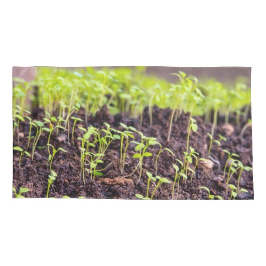 Kuitgras Kussensloop (Achterkant)