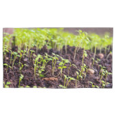 Kuitgras Kussensloop (Voorkant)