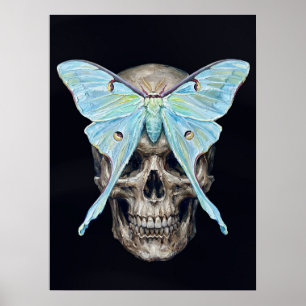 kull et Luna Moth — Memento Mori Impasto Poster