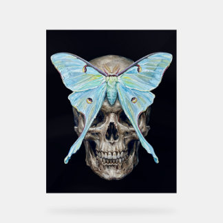 kull et Luna Moth — Memento Mori Impasto Poster