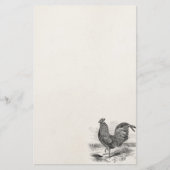  Kulm Fowl Rooster Chicken - Chickens Hen Briefpapier (Voorkant)