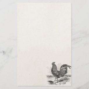  Kulm Fowl Rooster Chicken - Chickens Hen Briefpapier
