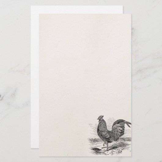  Kulm Fowl Rooster Chicken - Chickens Hen Briefpapier (Voorkant / Achterkant)