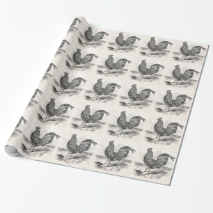  Kulm Fowl Rooster Chicken - Chickens Hen Cadeaupapier