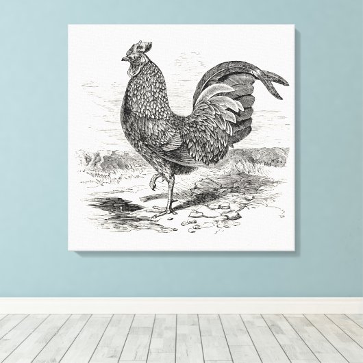 Kulm Fowl Rooster Chicken - Chickens Hen Canvas Afdruk (Insitu (Houten vloer))