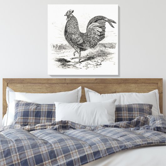  Kulm Fowl Rooster Chicken - Chickens Hen Canvas Afdruk (Insitu (Slaapkamer))