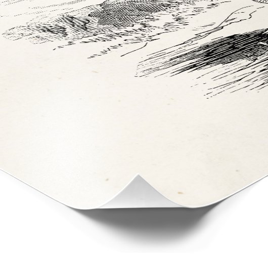 Kulm Fowl Rooster Chicken - Chickens Hen Foto Afdruk (Hoek)