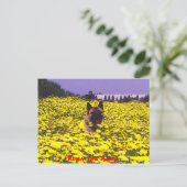 Kuma the Akita Briefkaart (Staand voorkant)