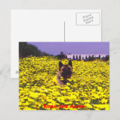 Kuma the Akita Briefkaart (Voorkant / Achterkant)