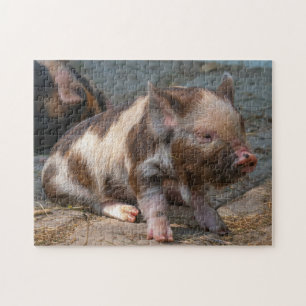 KuneKune Piglet Legpuzzel