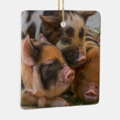KuneKune Piglets Keramisch Ornament (Rechts)
