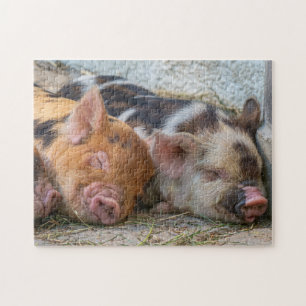 KuneKune Piglets Legpuzzel