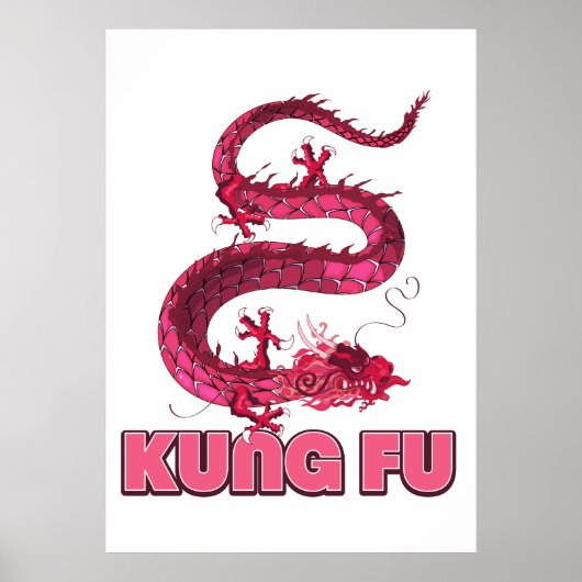 kung fu poster (Voorkant)