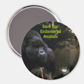 Kunga Mountain Gorilla & Frog Wildlife Art Magnet (Recto/Verso)