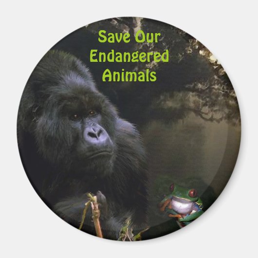 Kunga Mountain Gorilla & Frog Wildlife Art Magnet (Devant)