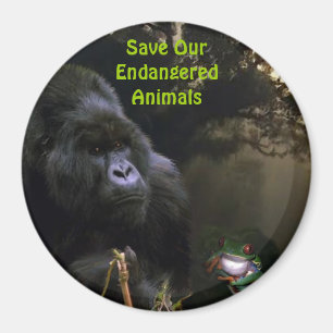 Kunga Mountain Gorilla & Frog Wildlife Art Magnet Magneet