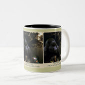 Kunga Mountain Gorilla Wildlife supporter Mok (Voorkant rechts)