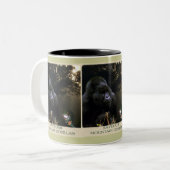 Kunga Mountain Gorilla Wildlife supporter Mok (Voorkant links)